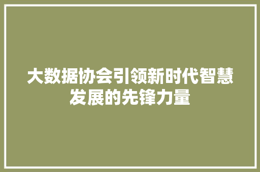 大数据协会引领新时代智慧发展的先锋力量