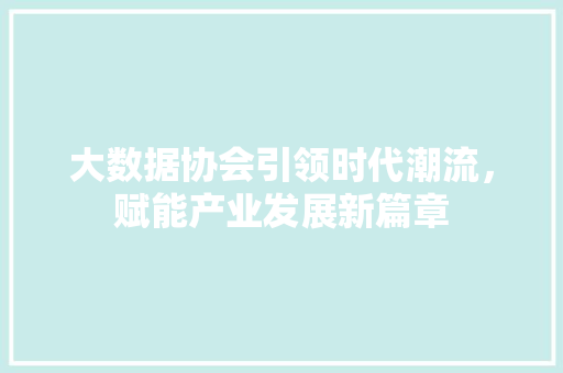 大数据协会引领时代潮流，赋能产业发展新篇章