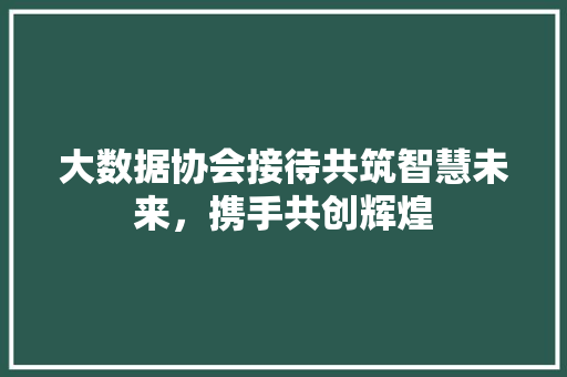 大数据协会接待共筑智慧未来，携手共创辉煌