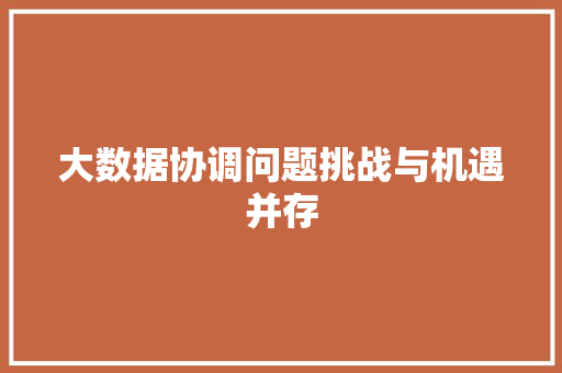 大数据协调问题挑战与机遇并存