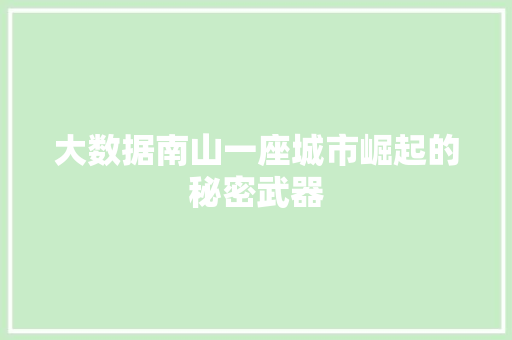 大数据南山一座城市崛起的秘密武器