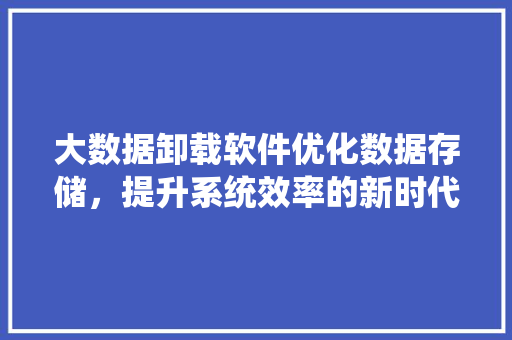 大数据卸载软件优化数据存储，提升系统效率的新时代利器