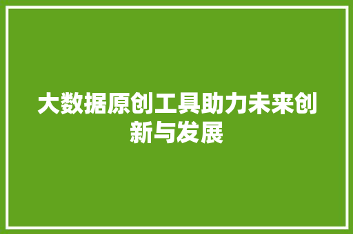 大数据原创工具助力未来创新与发展