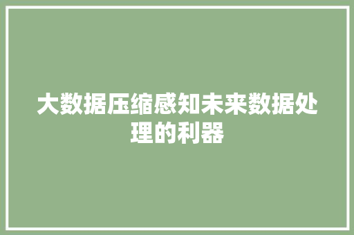 大数据压缩感知未来数据处理的利器