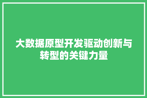 大数据原型开发驱动创新与转型的关键力量