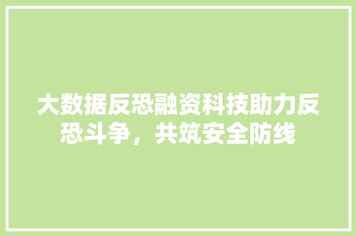 大数据反恐融资科技助力反恐斗争，共筑安全防线