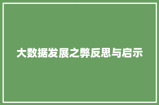 大数据发展之弊反思与启示