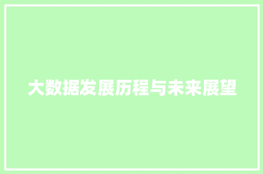 大数据发展历程与未来展望