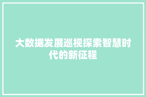 大数据发展巡视探索智慧时代的新征程