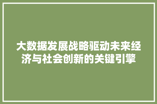 大数据发展战略驱动未来经济与社会创新的关键引擎