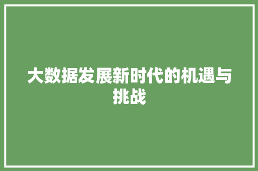 大数据发展新时代的机遇与挑战