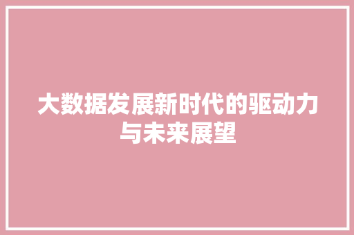大数据发展新时代的驱动力与未来展望