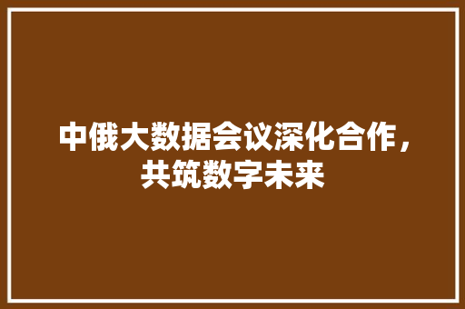 中俄大数据会议深化合作，共筑数字未来