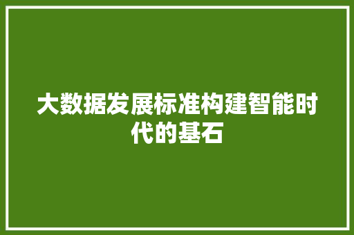 大数据发展标准构建智能时代的基石