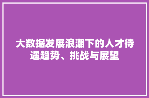 大数据发展浪潮下的人才待遇趋势、挑战与展望