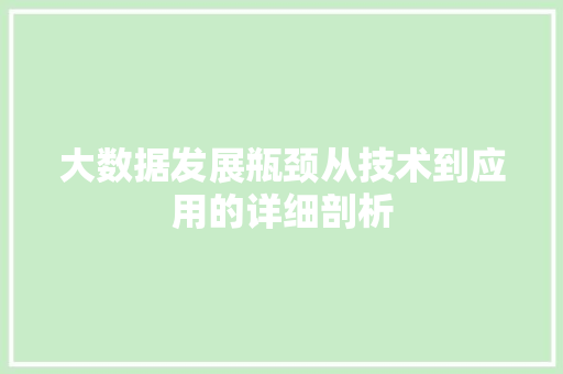 大数据发展瓶颈从技术到应用的详细剖析