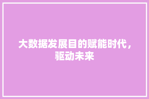 大数据发展目的赋能时代，驱动未来