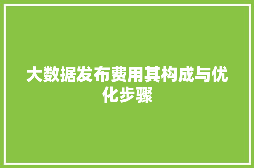 大数据发布费用其构成与优化步骤