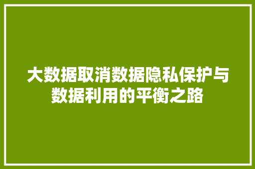 大数据取消数据隐私保护与数据利用的平衡之路  第1张