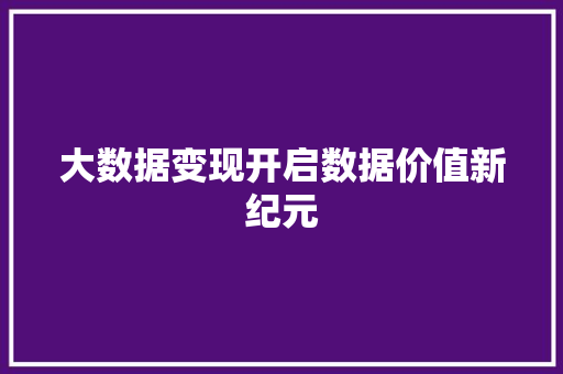 大数据变现开启数据价值新纪元