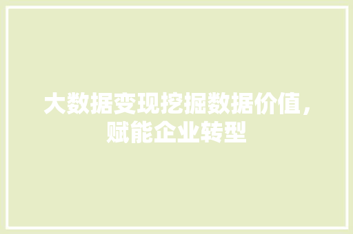 大数据变现挖掘数据价值，赋能企业转型
