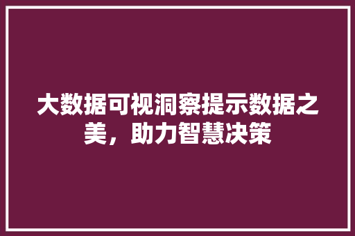 大数据可视洞察提示数据之美，助力智慧决策  第1张