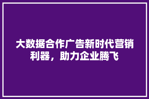 大数据合作广告新时代营销利器，助力企业腾飞
