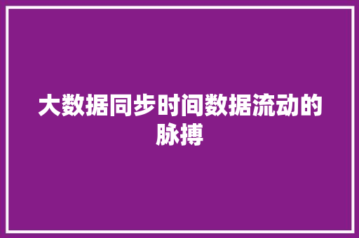 大数据同步时间数据流动的脉搏