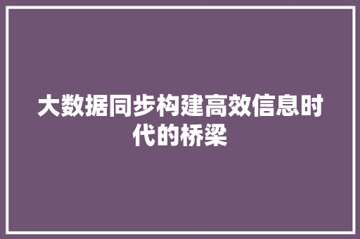 大数据同步构建高效信息时代的桥梁