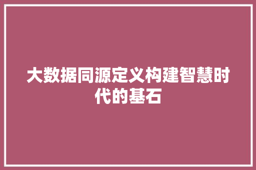 大数据同源定义构建智慧时代的基石