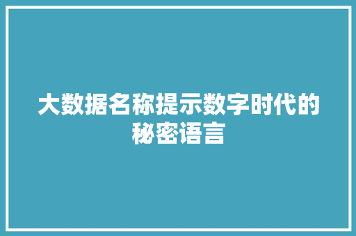 大数据名称提示数字时代的秘密语言
