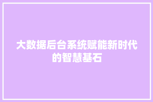 大数据后台系统赋能新时代的智慧基石