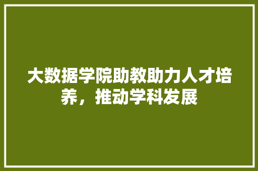 大数据学院助教助力人才培养，推动学科发展