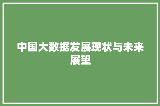 中国大数据发展现状与未来展望