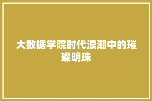 大数据学院时代浪潮中的璀璨明珠