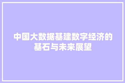 中国大数据基建数字经济的基石与未来展望