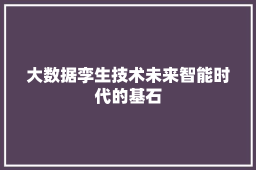 大数据孪生技术未来智能时代的基石