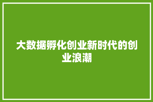 大数据孵化创业新时代的创业浪潮