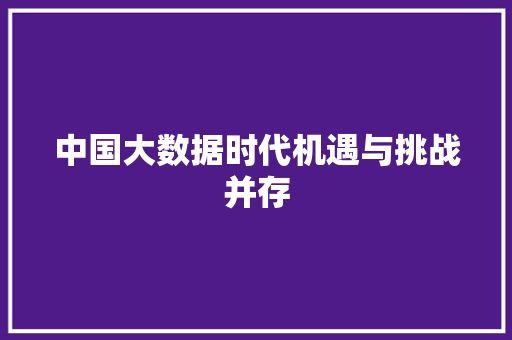 中国大数据时代机遇与挑战并存