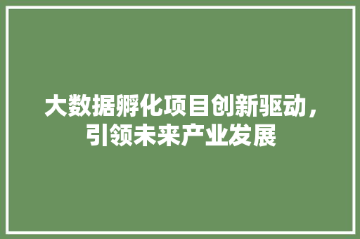 大数据孵化项目创新驱动，引领未来产业发展