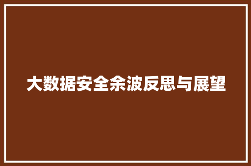 大数据安全余波反思与展望