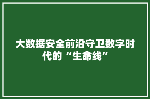 大数据安全前沿守卫数字时代的“生命线”