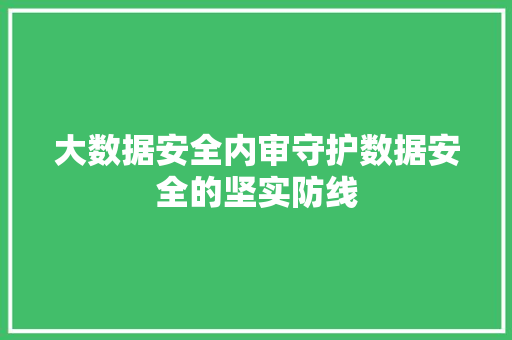 大数据安全内审守护数据安全的坚实防线