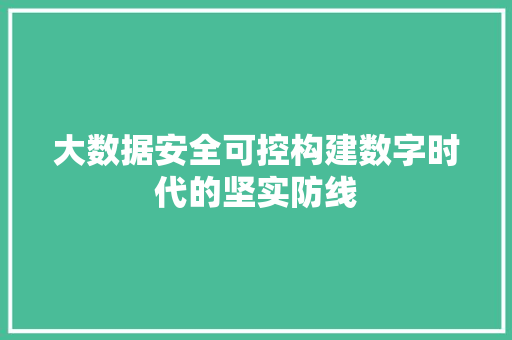 大数据安全可控构建数字时代的坚实防线  第1张