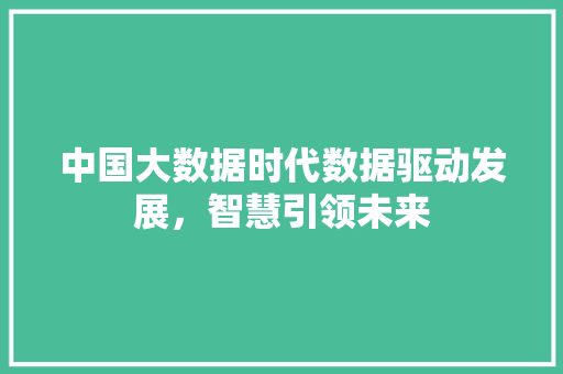 中国大数据时代数据驱动发展，智慧引领未来