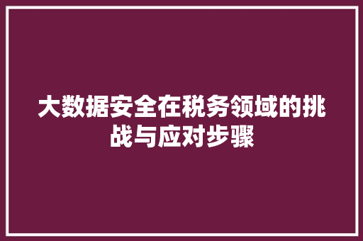 大数据安全在税务领域的挑战与应对步骤