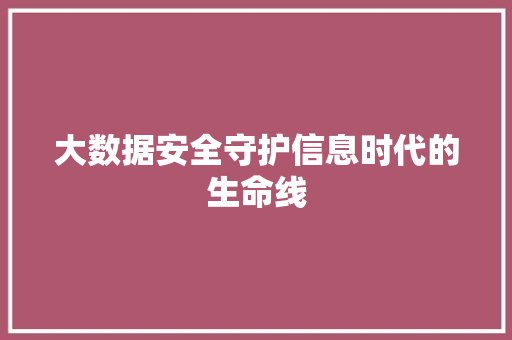 大数据安全守护信息时代的生命线