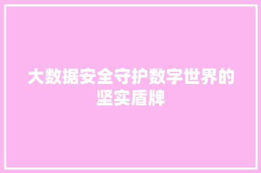 大数据安全守护数字世界的坚实盾牌