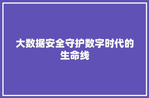 大数据安全守护数字时代的生命线  第1张