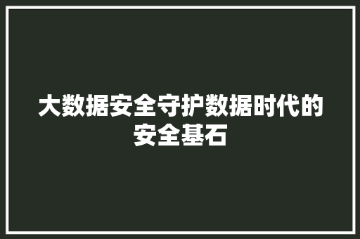 大数据安全守护数据时代的安全基石